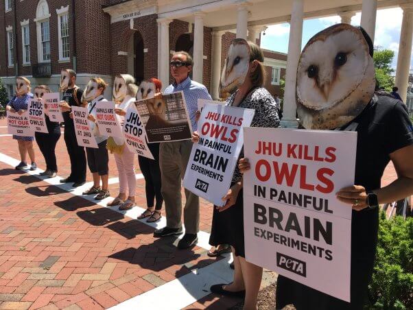 peta demo at johns hopkins university against experiments on owls