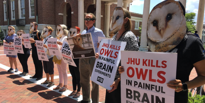 peta demo at johns hopkins university against experiments on owls