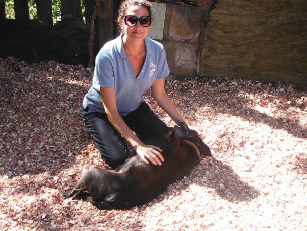 PETA staffer petting black dog