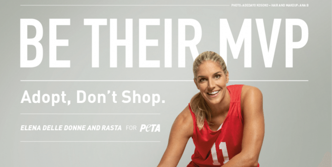 Elena Delle Donne MVP Adopt Dont Shop