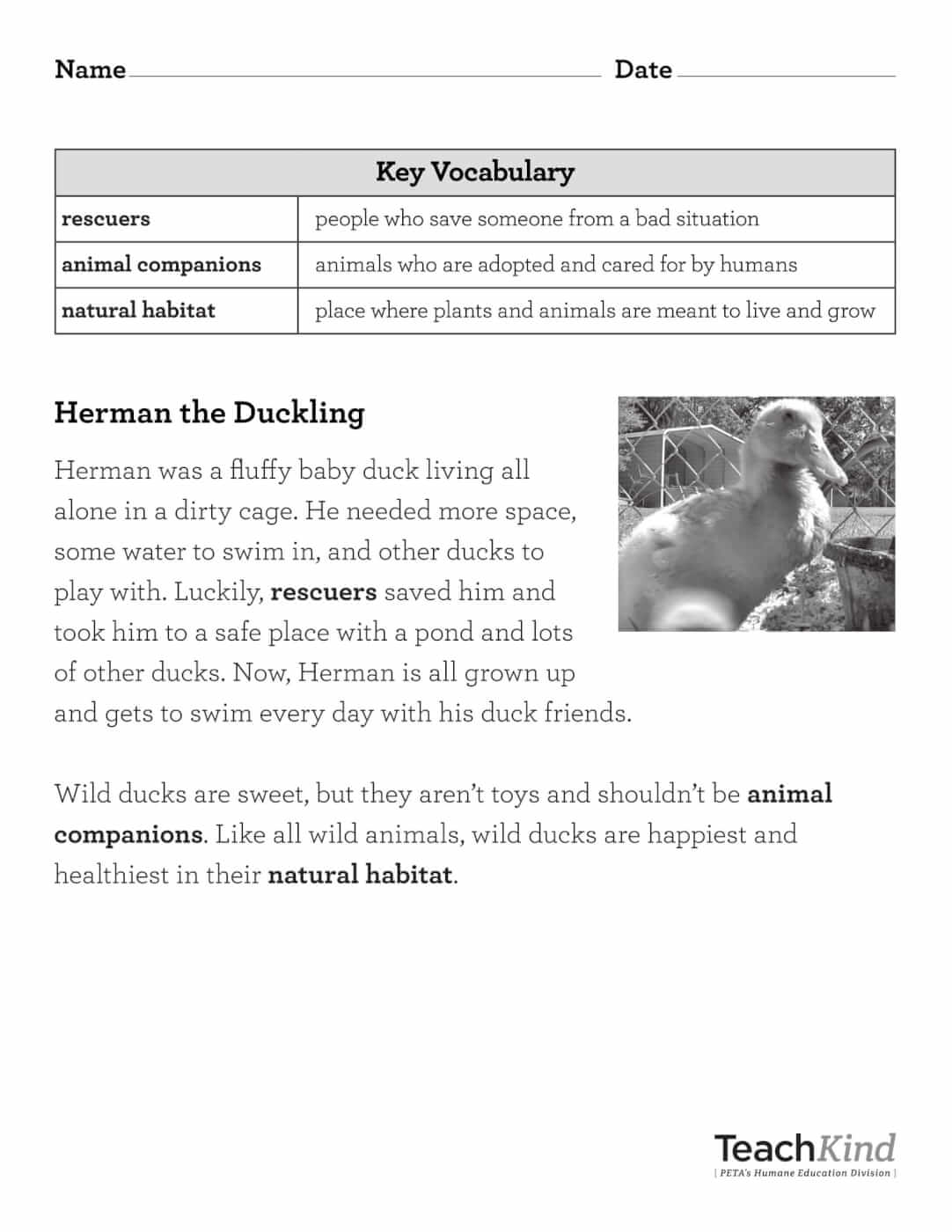 Rescue Stories Printables | PETA