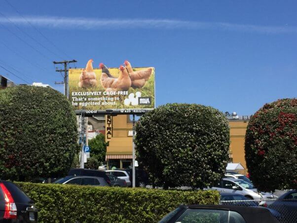 Mollie Stones Cage Free Billboard