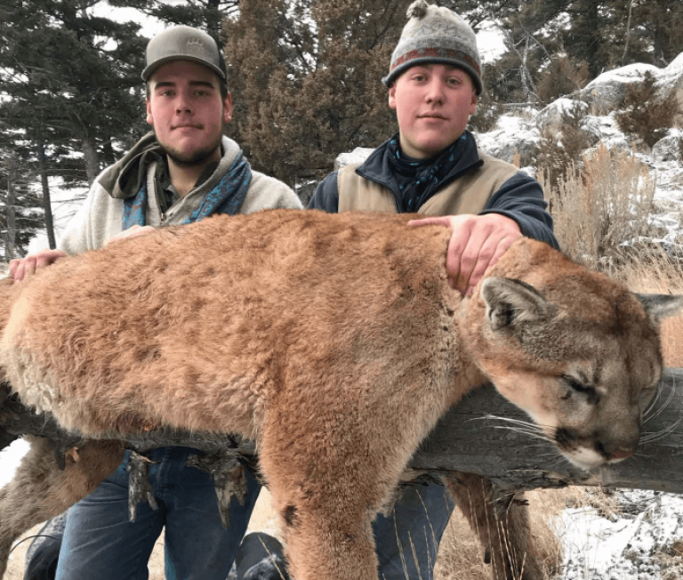 Poachers Arrested After They Post Photos of 'Trophy' PETA