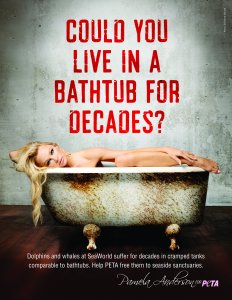 Pamela anderson peta ad rhetorical analysis essay 05 image