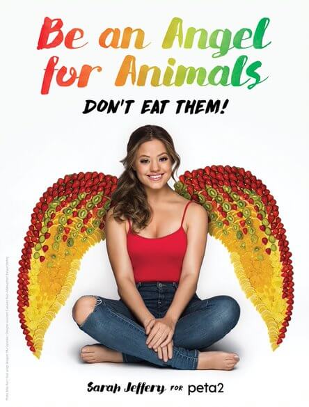 angel animal wings sarah jefery peta2