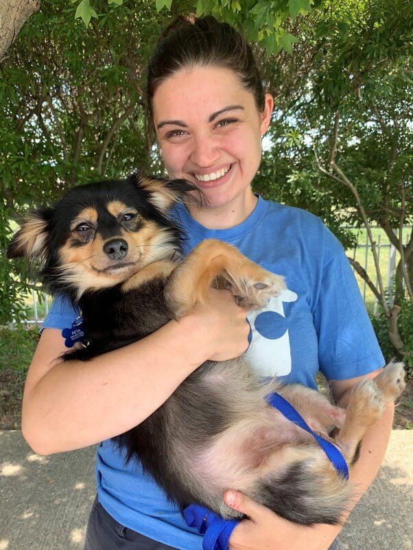 Adoptable dog Woodrow getting some love