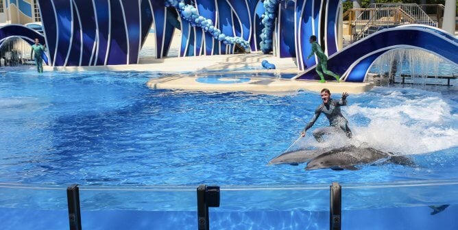 man on top of two dolphins swimming in a tank at seaworld