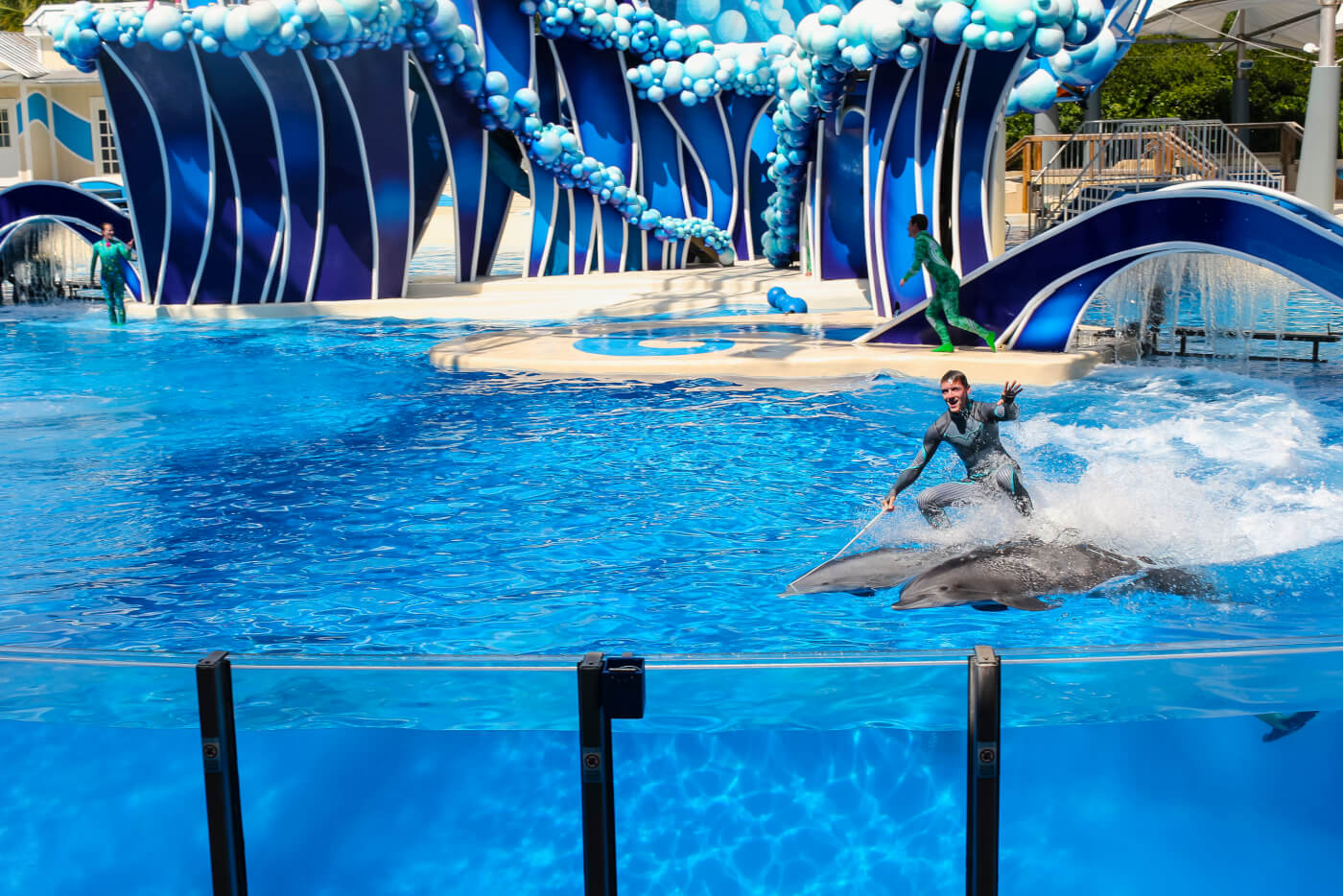 2020: SeaWorld Stops Making Trainers Stand on Dolphins’ Faces