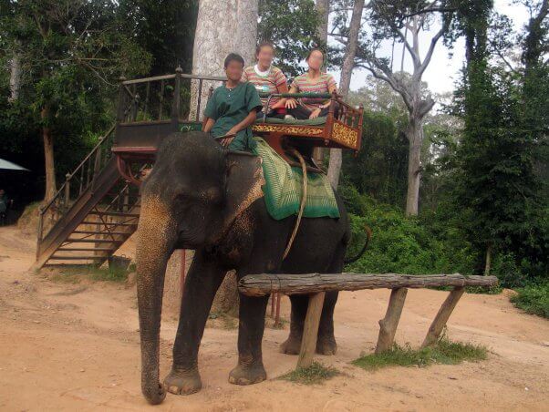 Progress! Cambodia's Angkor Wat to Nix Elephant Rides by 2020