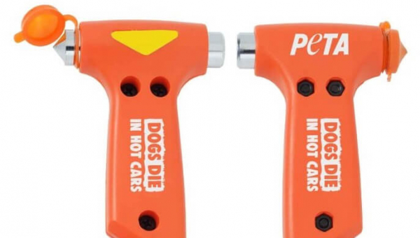 dogs die of heatstroke when left in hot cars. for emergency situations, PETA sells a rescue hammer