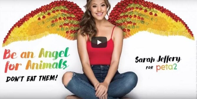 be an angel for animals