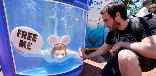 a woman in a mouse costume swims underwater in a dunk tank holding a sign that says free me