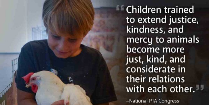 Don’t Be Fooled by These ‘Humane Education’ Frauds