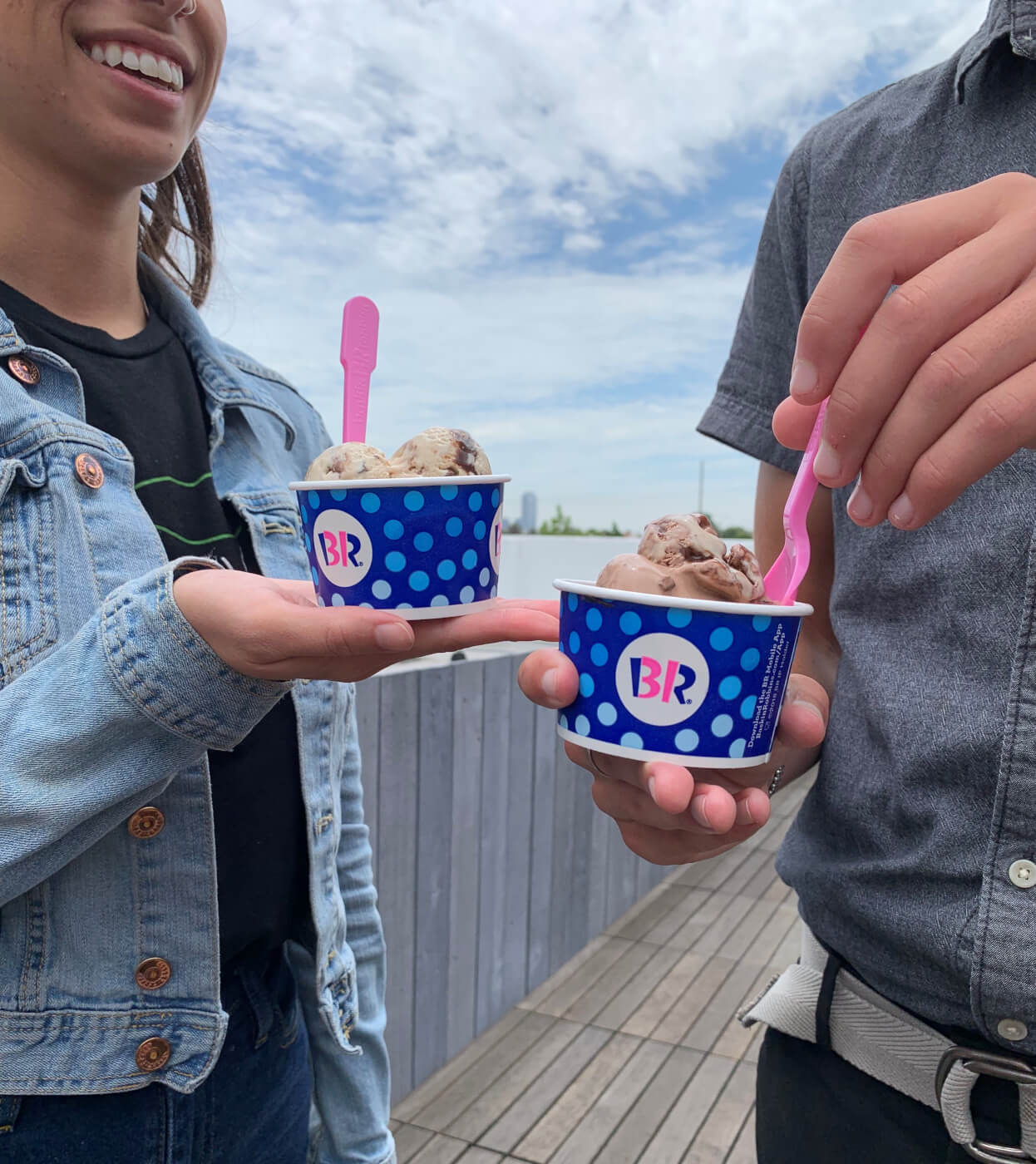 The Inside Scoop On Baskin Robbins Vegan Ice Cream Peta