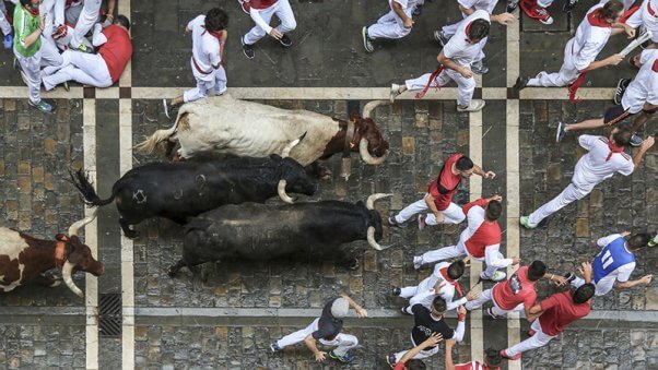 bull run in pamplona, COVID-19 canceled