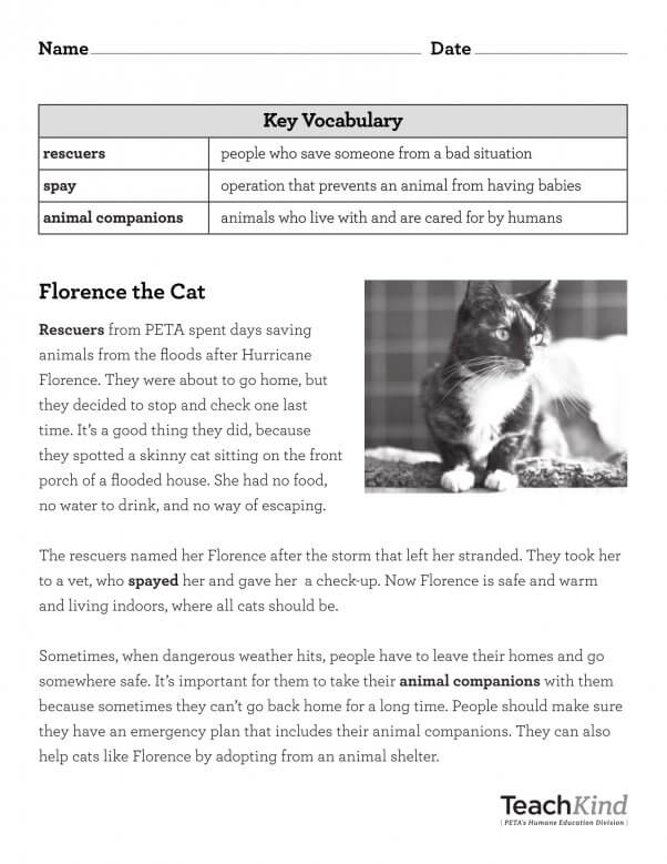 TeachKind Rescue Stories: Florence the Cat Survives a Flood | PETA