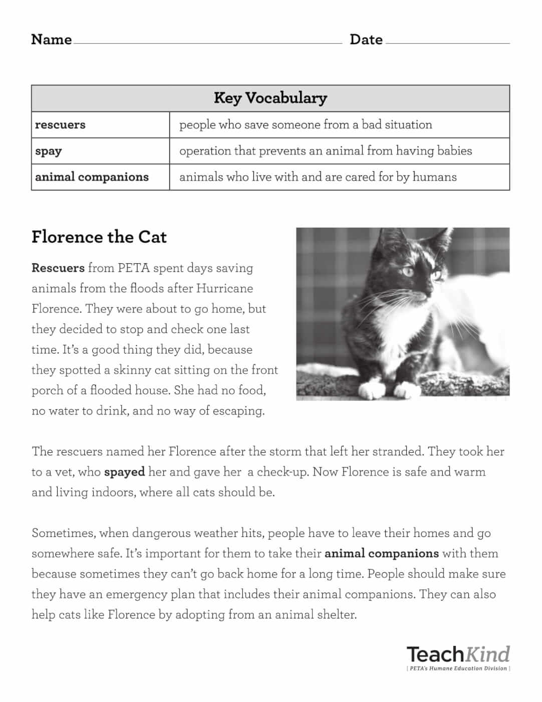 Rescue Stories Printables | PETA