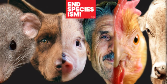 End Speciesism cover photo showing a woman, mouse, dog, pig, man, chicken, cow, and elephant