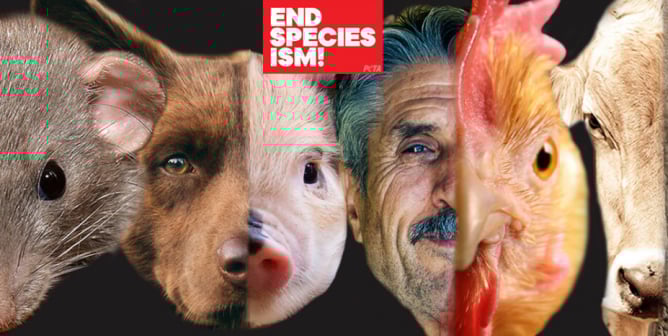 Debate Kit: Is Speciesism Unethical?