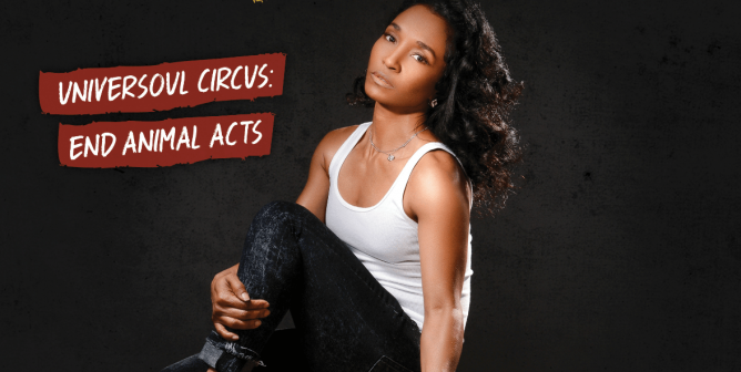 TLC Chilli Circus Ad