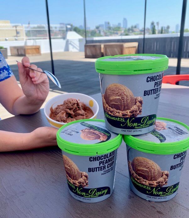 Image of the new vegan ice cream from Stewart