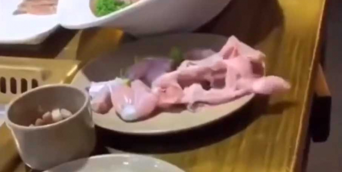 'Zombie' Chicken Carcass Reminds Us That Every Animal Was Once Alive