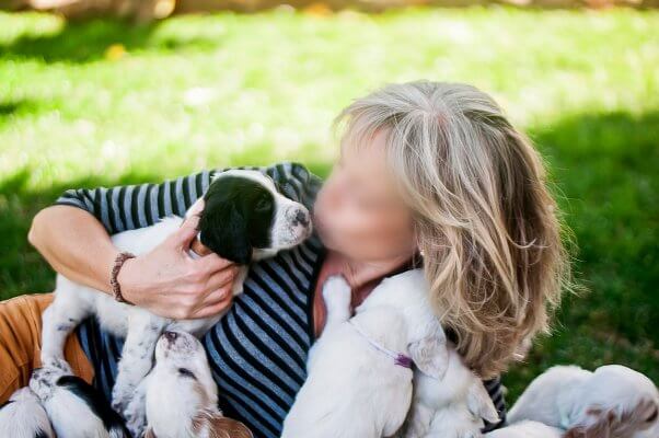 woman holding litter of dalmation puppies, spay neuter, overpopulation, animal homelessness crisis