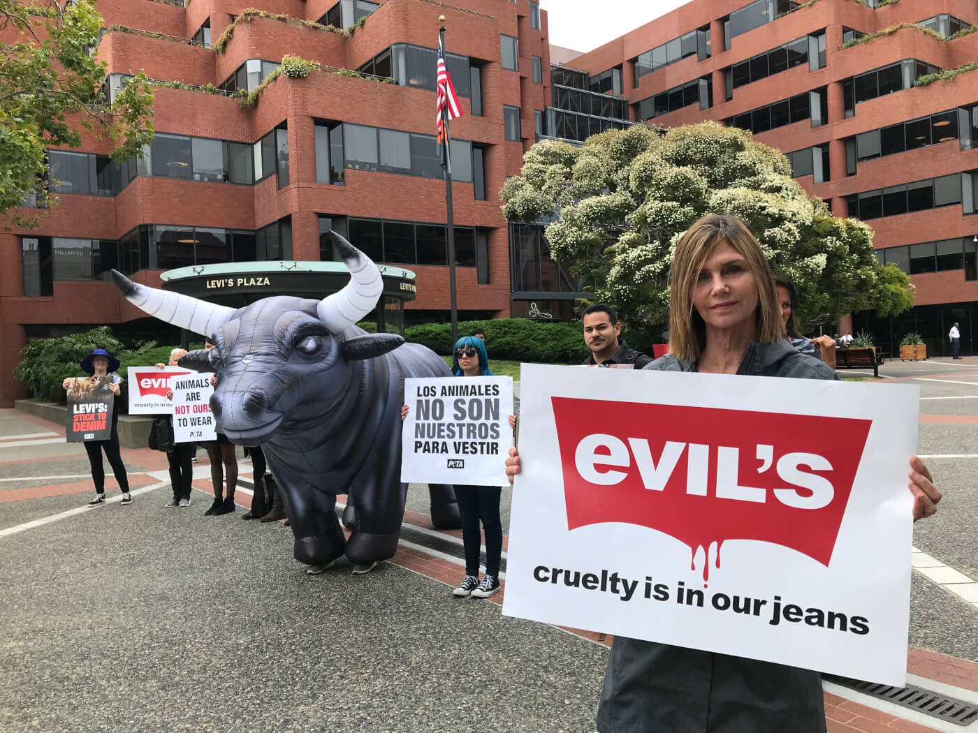 Levi's Asked to Look Into Suppliers' Slaughter Methods | PETA