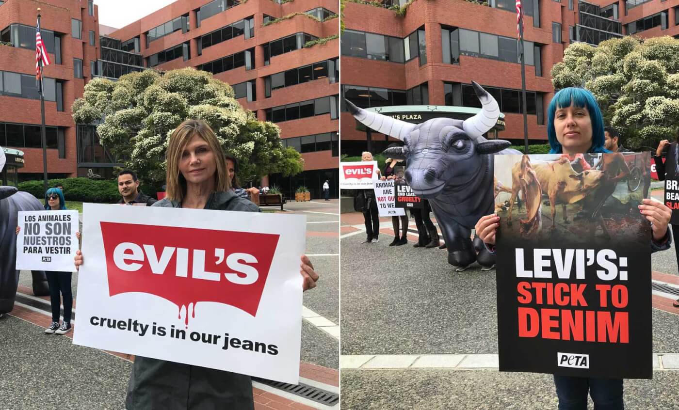 Levi's Asked to Look Into Suppliers' Slaughter Methods | PETA