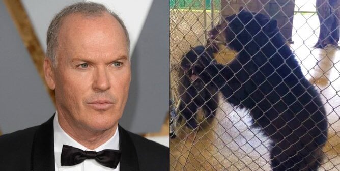 Michael Keaton Exposes Roadside Zoo