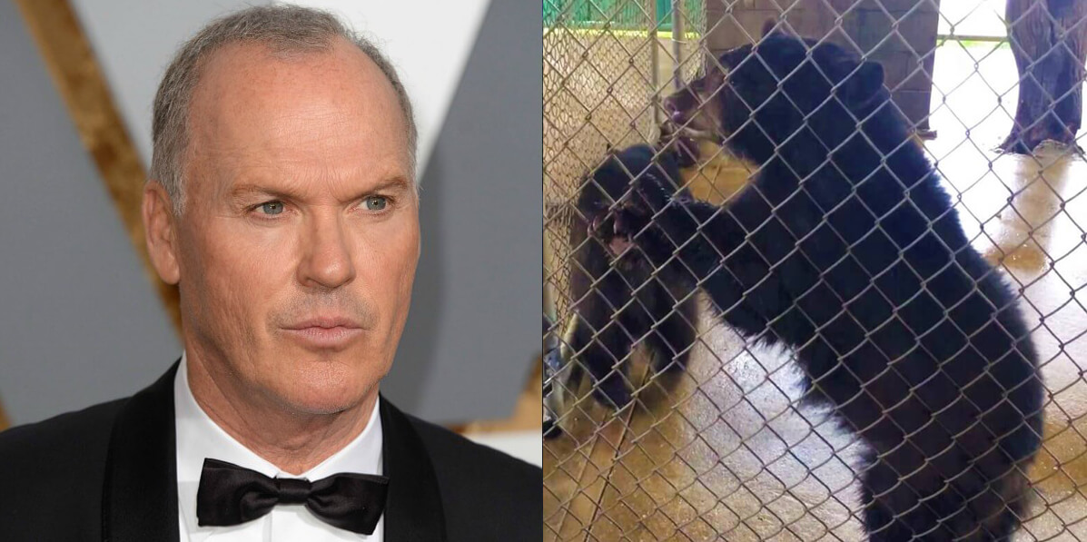 Michael Keaton Urges Fans to Ditch Bear Cub Photo Ops PETA