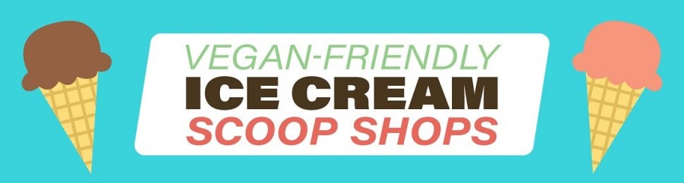 vegan ice cream banner