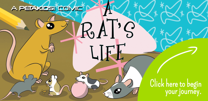 Lab Ratz Experiment 2 - Cartoon Rat - Sticker