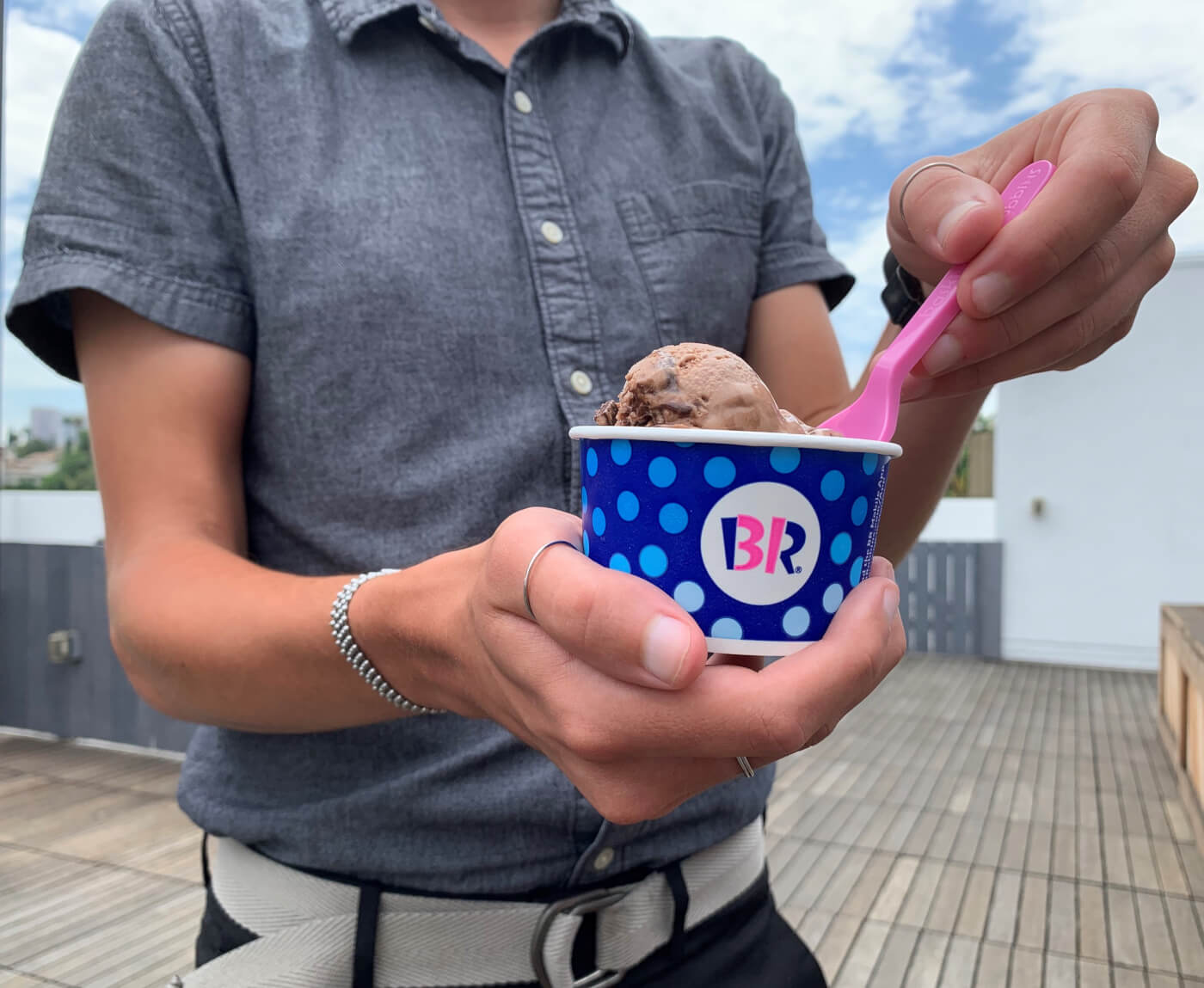 The Inside Scoop on BaskinRobbins Vegan Ice Cream PETA
