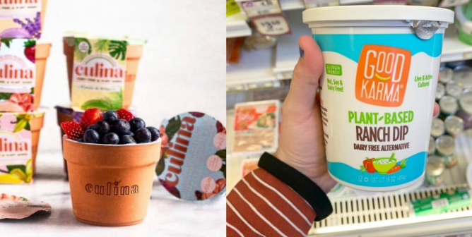 Fun Vegan Finds We Discovered at Sprouts Farmers Market