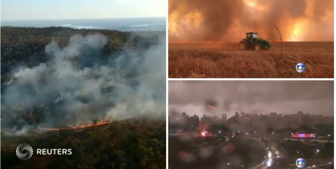 Is the Meat Industry Fueling the Record-Breaking Amazon Rainforest Fires?