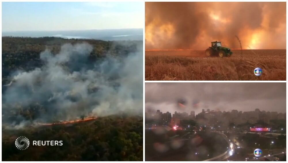 Is the Meat Industry Fueling Amazon Wildfires? | PETA Is the Meat Industry Fueling Amazon Wildfires? | PETA