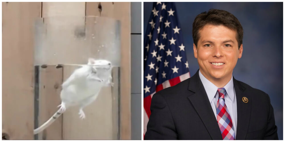 Rep. Brendan Boyle