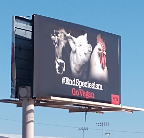 End Speciesism Go Vegan Billboard