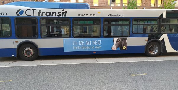 Im Me Not Meat Cow Billboard on Bus in Connecticut