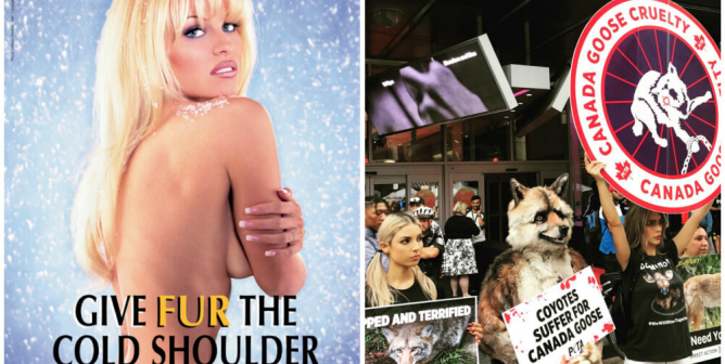 PETA, Pamela Anderson Want Canada Goose Money out of Toronto Film Fest