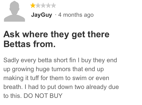 Betta Fish review of Petco