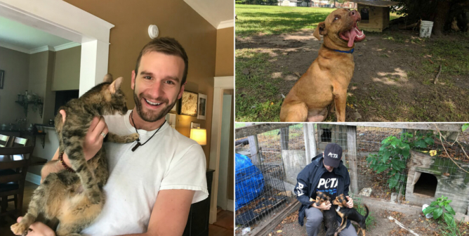 Community Animal Project