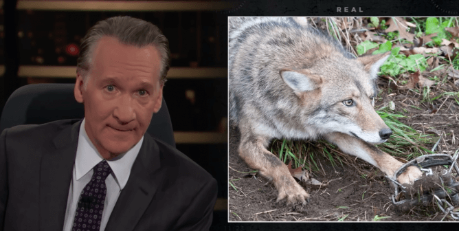Bill Maher and PETA Expose Canada Goose at Annual Meeting