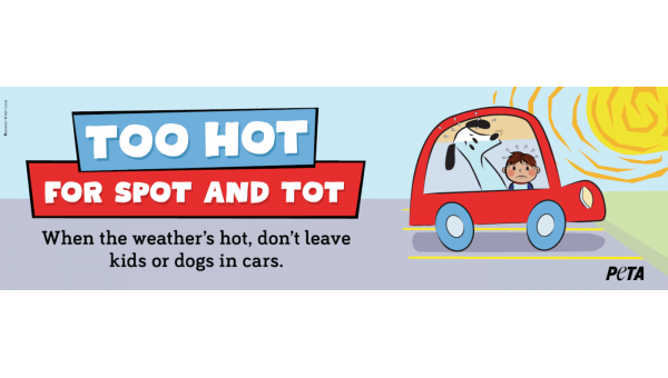 Too Hot For Spot And Tot. When The Weather’s Hot, Don’t Leave Kids Or Dogs In Cars (Billboard)
