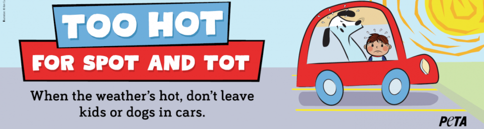 Too Hot For Spot And Tot. When The Weather’s Hot, Don’t Leave Kids Or Dogs In Cars (Billboard)
