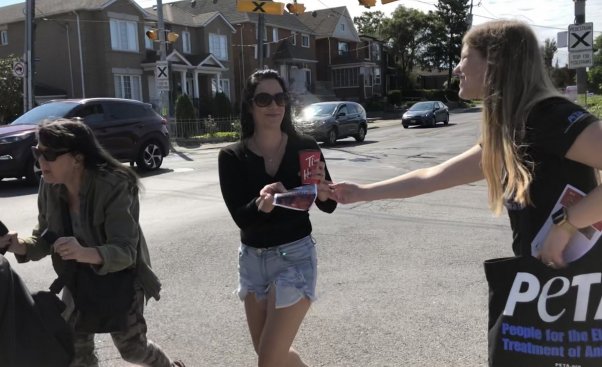 peta demo outside canada goose hq on the day of the annual shareholder meeting