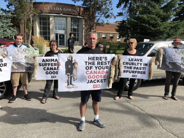 peta demo outside canada goose hq on the day of the annual shareholder meeting