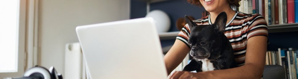 help animals online with peta rapid action pages