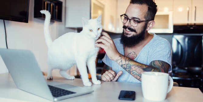 These Quarantine-Ready PETA Actions Let You Help Animals From Home